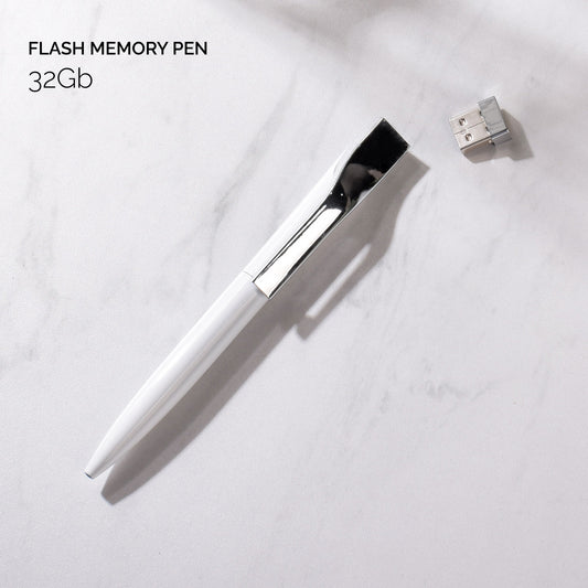 Metal pen with flash memory